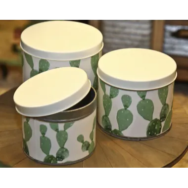 Zestawy Puszek Kaktus 3 szt. Ø 15x13,5-14x11,5-12,5x10 cm MIN 2